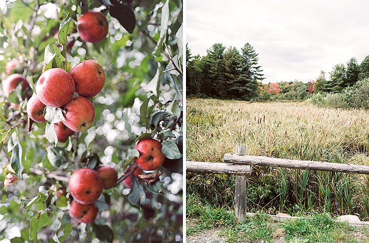 8-Brooklands-Farm-apple-tree-wedding-photography-details.jpg